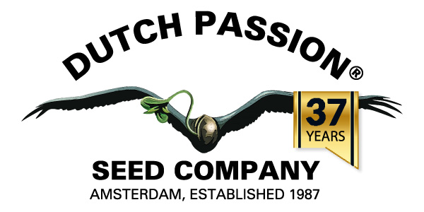 Dutch Passion